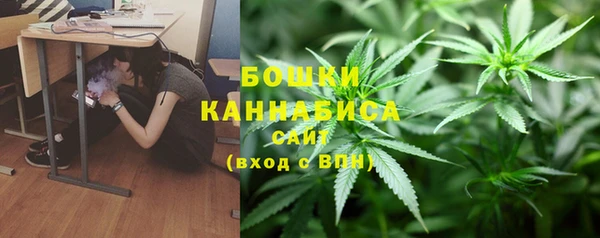 ALPHA PVP Бородино