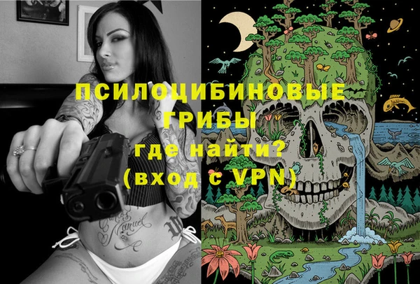 ALPHA PVP Бородино