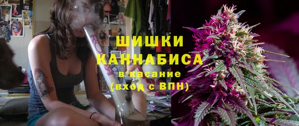 шишки Бронницы
