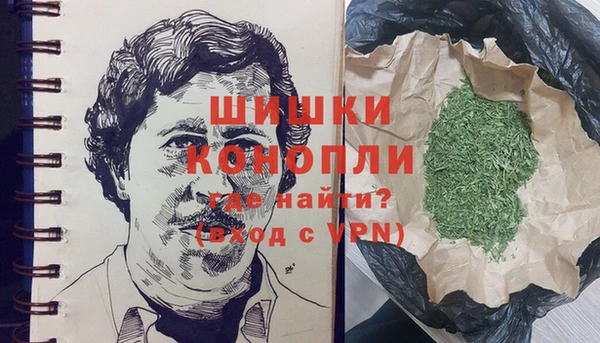шишки Бронницы